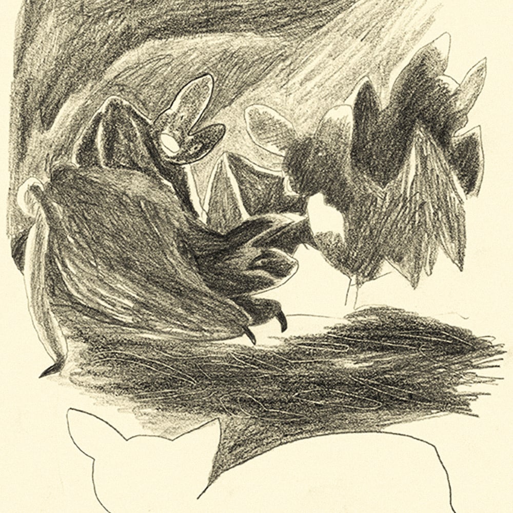 Image of [BELLEZA INFINITA™] DIARIO DE UN HUESO CURVO (PABLO BESSE™)
