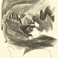 Image 9 of [BELLEZA INFINITA™] DIARIO DE UN HUESO CURVO (PABLO BESSE™)