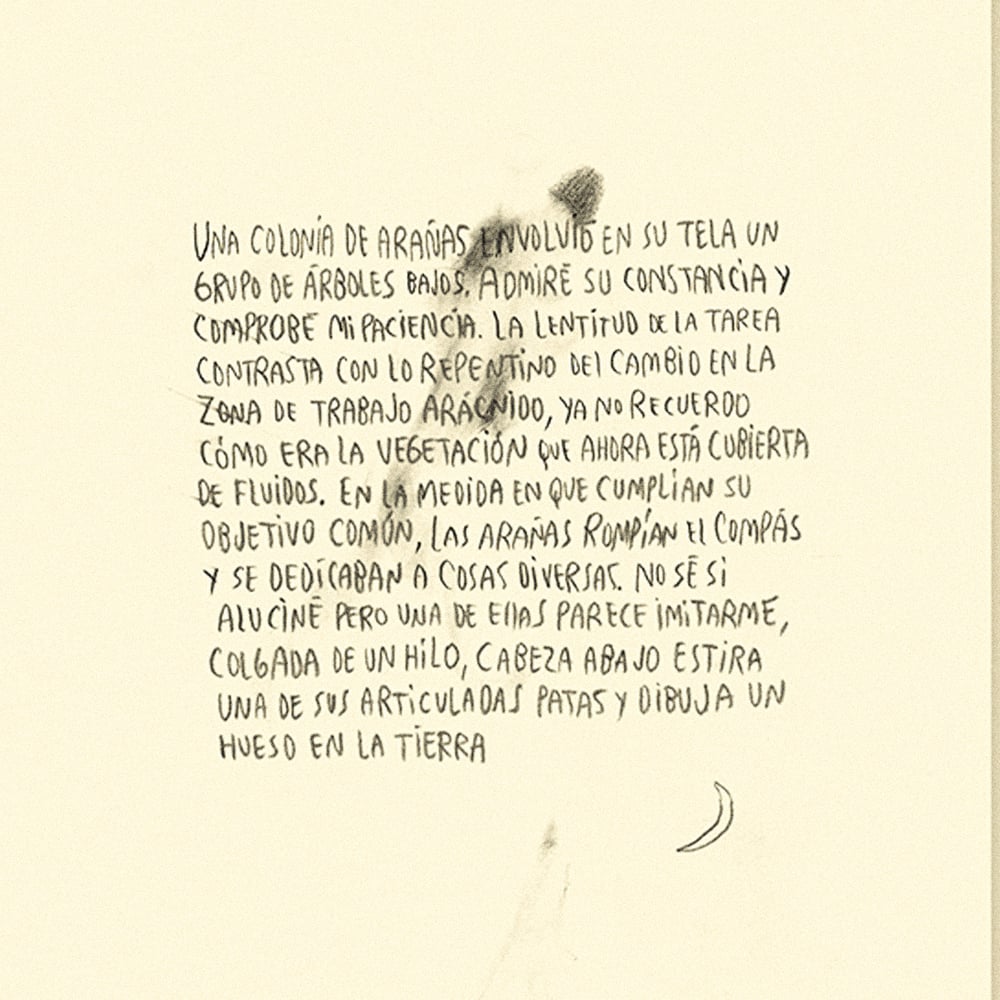 Image of [BELLEZA INFINITA™] DIARIO DE UN HUESO CURVO (PABLO BESSE™)