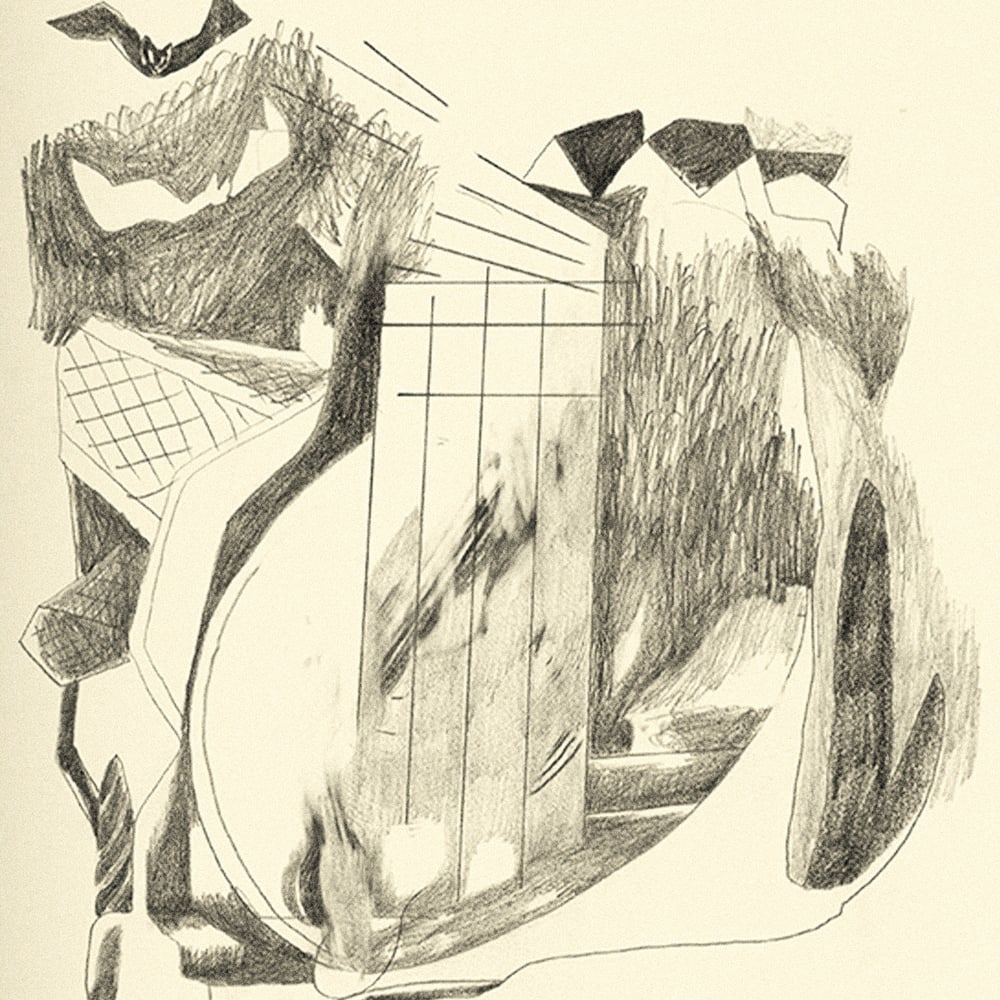 Image of [BELLEZA INFINITA™] DIARIO DE UN HUESO CURVO (PABLO BESSE™)