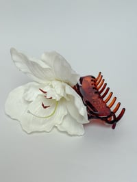 Image 1 of white amaryllis claw