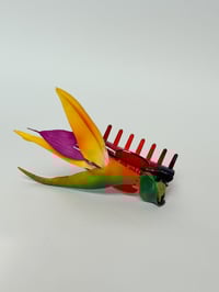 Image 1 of bird of paradise