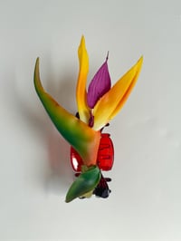 Image 2 of bird of paradise