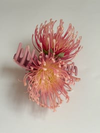 Image 1 of pincushion claw