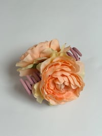 Image 1 of blush ranunculus claw