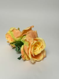 Image 1 of yellow rose claw