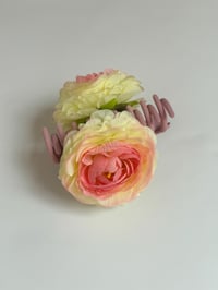 Image 1 of raspberry ranunculus claw