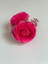 Image 1 of pink ranunculus claw