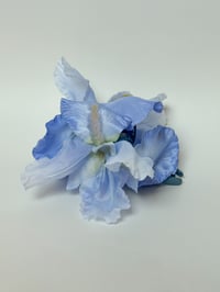 Image 1 of xl periwinkle iris claw