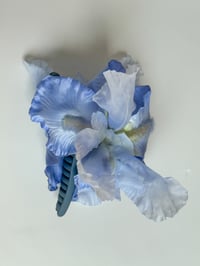 Image 2 of xl periwinkle iris claw