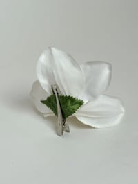 Image 2 of white cymbidium orchid clip