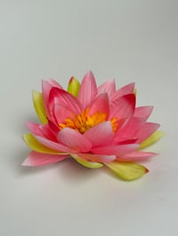 Image 1 of lotus clip