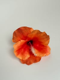Image 1 of orange hibiscus clip