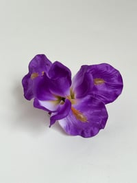 Image 1 of violet iris clip