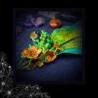 Image 3 of 🜧 Verbascum Flora 🜧 