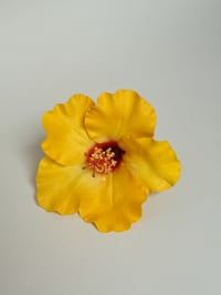 Image 1 of yellow hibiscus clip