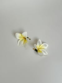 white frangipani clips