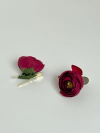 burgundy ranunculus clips