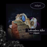 Image 3 of ☽ Labradora Alba ☾