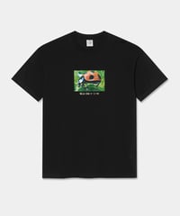 Image 1 of POLAR_LADYBUG TEE :::BLACK:::