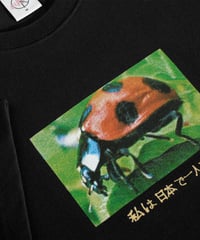 Image 3 of POLAR_LADYBUG TEE :::BLACK:::