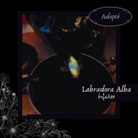 Image 5 of ☽ Labradora Alba ☾