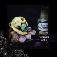 Image 1 of ☽ Serafina ☾