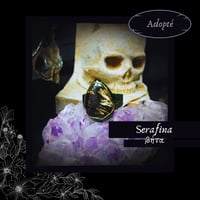 Image 3 of ☽ Serafina ☾