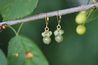Image 4 of Boucles d'oreilles grenat vert