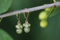Image 6 of Boucles d'oreilles grenat vert