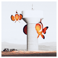 Clownfish Guardians - Poster