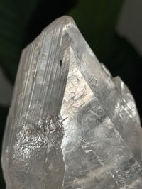 Image 6 of RAINBOW FILLED LA PLATOSA SELENITE -MEXICO- B