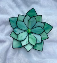 Image 1 of Forever Succulent