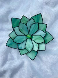Image 3 of Forever Succulent