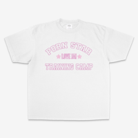 Image 2 of porn star training camp