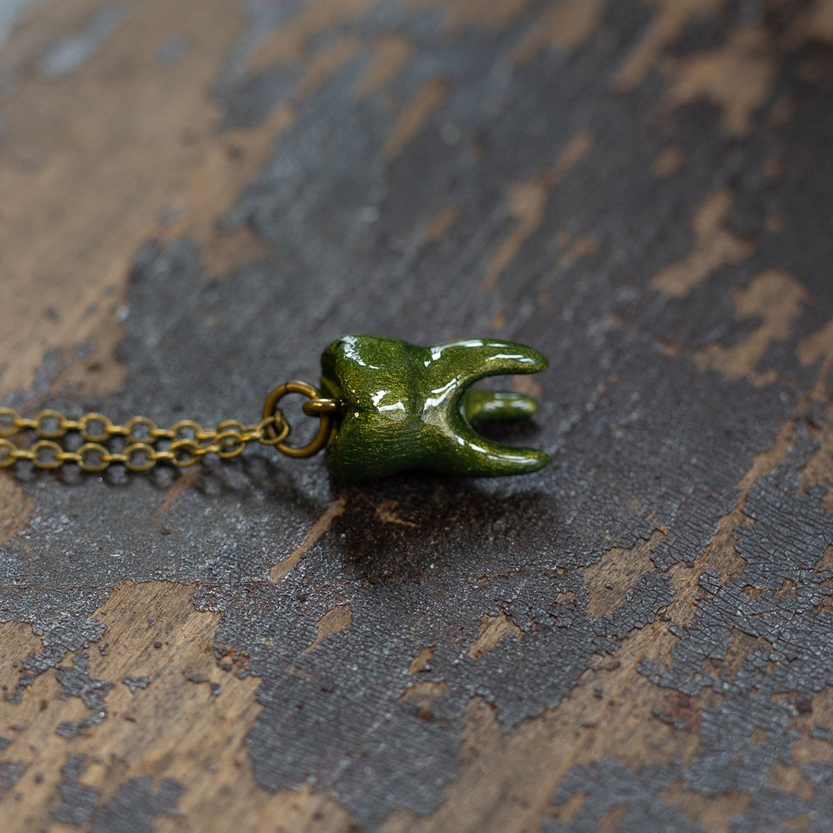 3-Root Molar necklace in "Moss" on brass chain