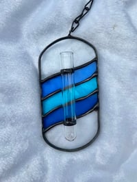 Image 1 of Blue Three Tone Plant Propogation