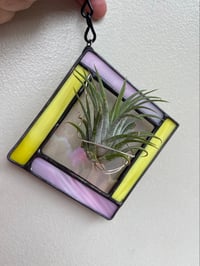Image 1 of Lemonade Air Plant Holder