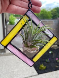 Image 2 of Lemonade Air Plant Holder