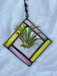 Image 3 of Lemonade Air Plant Holder