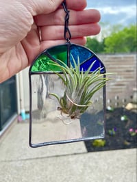 Image 2 of Cool Toned Air Plant Holder