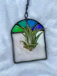 Image 1 of Cool Toned Air Plant Holder