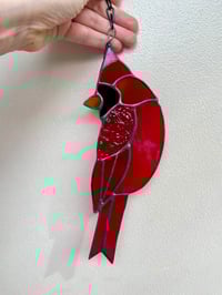 Image 3 of Cardinal