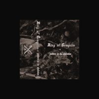 Ring of Tamyrlin "Pattern in the Shadows" (Out of Season Edition) Tape