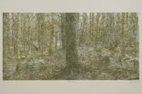 Image 1 of Canaan Downs