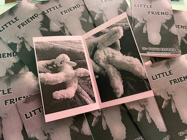 Little Friend Zine