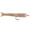 Image of CK Baitfish Tails