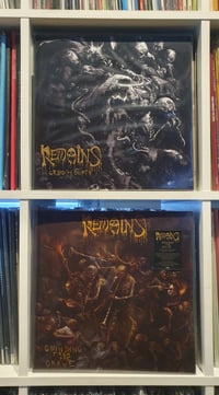 Image 1 of Remains Vinyl Double Album Pack