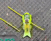 Image of Composite Disk Bug Kit