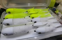 Image of Topwater CK Baitfish Kit